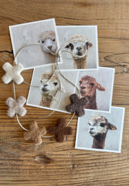 Felting Workshop: Garlands and Decorations