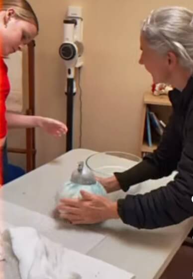 Felting Workshop: Vessels