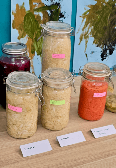 Fermentation Workshop