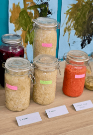 Fermentation Workshop