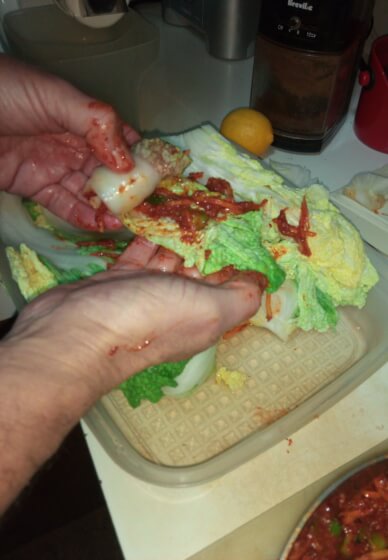 Fermented Food Workshop at Habitat Vineyard