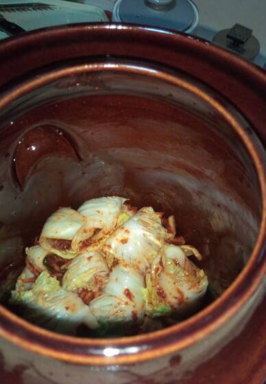 Fermented Food Workshop at Habitat Vineyard