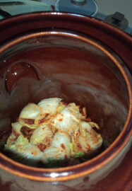 Fermented Food Workshop at Habitat Vineyard