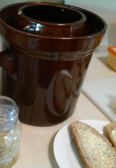 Fermented Food Workshop at Habitat Vineyard