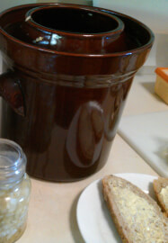 Fermented Food Workshop at Habitat Vineyard