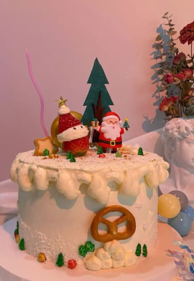 Festive 6-Inch Cake Decorating Course:Christmas Cake