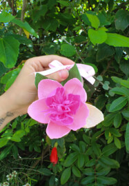 Festive Flower Ornaments Workshop with Drinks and Sweet Treats