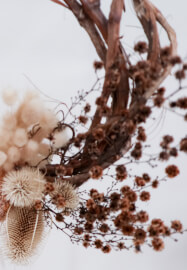 Festive Xmas Wreath Workshop