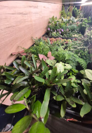 Fishbowl Terrarium Workshop