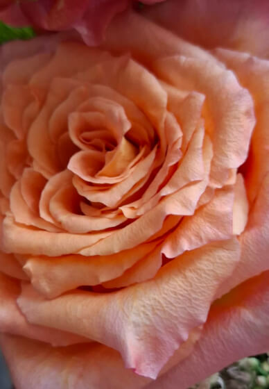 Floral Arrangement Date Night Workshop