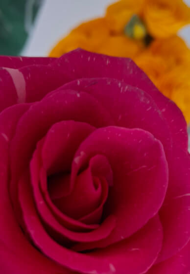 Floral Arrangement Date Night Workshop