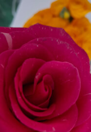 Floral Arrangement Date Night Workshop