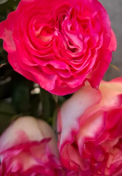 Floral Arrangement Date Night Workshop