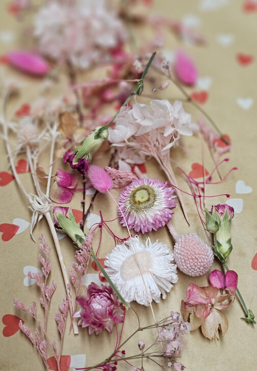 Floral Herbarium Workshop