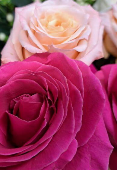 Floral Wiring Workshop: Professional Florals for Cakes