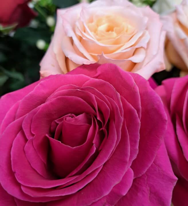 Floral Wiring Workshop: Professional Florals for Cakes