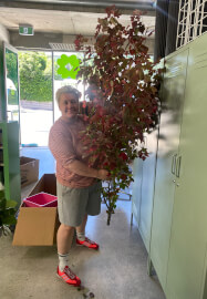Florist for a Day: Winter 2026 Floristry Course