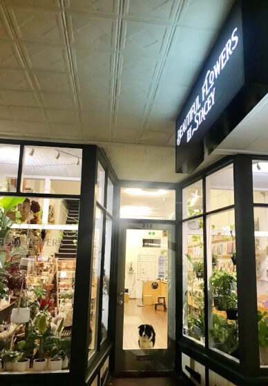 Floristry and Profit Class