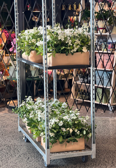 Floristry Workshop: DIY Event Flowers
