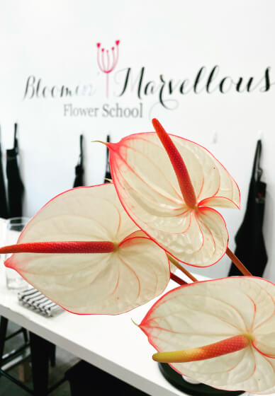 Floristry Workshop for Beginners: Tropical Trends