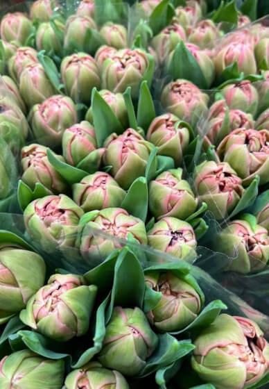 Floristry Workshop: Luxury Tuilp Vase Design