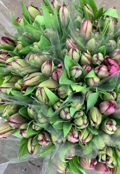 Floristry Workshop: Luxury Tuilp Vase Design