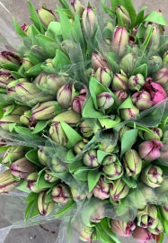 Floristry Workshop: Luxury Tuilp Vase Design