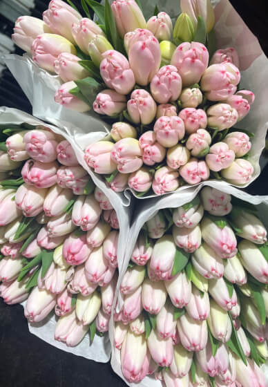 Floristry Workshop: Luxury Tuilp Vase Design