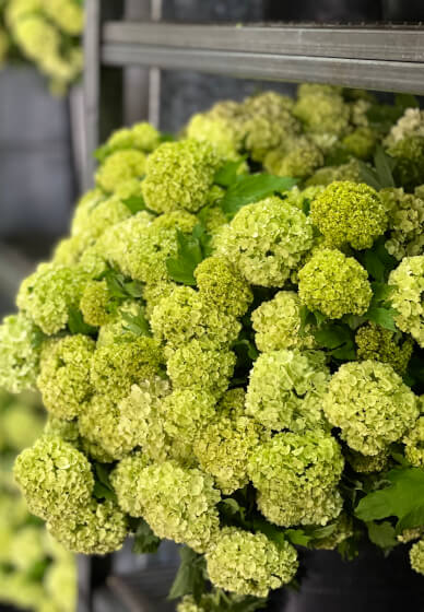 Floristry Workshop: Spring Beginners Seasonal Vase