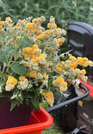 Floristry Workshop: Spring Beginners Seasonal Vase