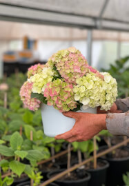 Floristry Workshop: Spring Beginners Seasonal Vase