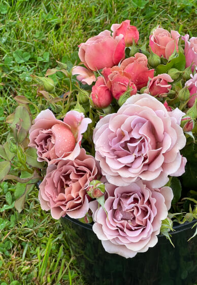 Floristry Workshop: Spring Beginners Seasonal Vase