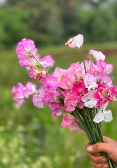 Floristry Workshop: Spring Beginners Seasonal Vase