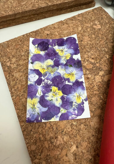 Flower Hammer Nature Print Making Workshop