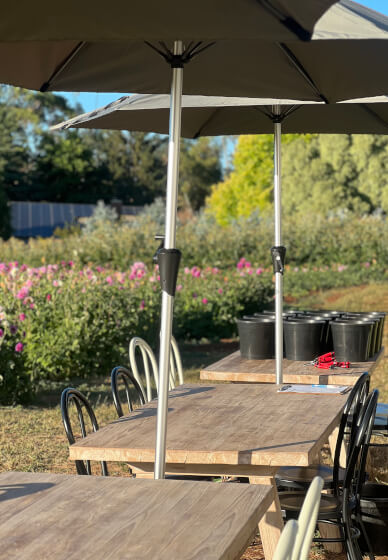 Flower Picking Class with Farm Tour
