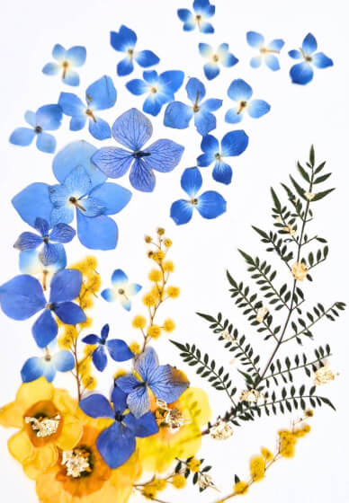 Flower Pressing Art Workshop