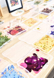Flower Pressing Art Workshop