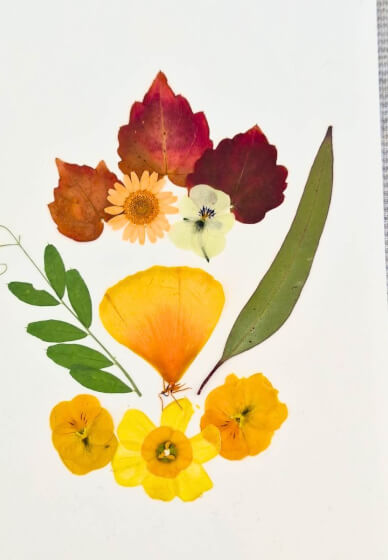 Flower Pressing Art Workshop