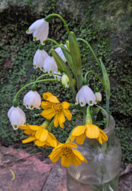 Flower Therapy and Forest Bathing Workshop