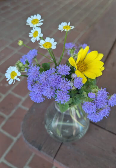 Flower Therapy and Forest Bathing Workshop