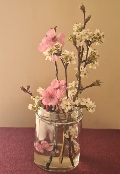 Flower Therapy and Forest Bathing Workshop