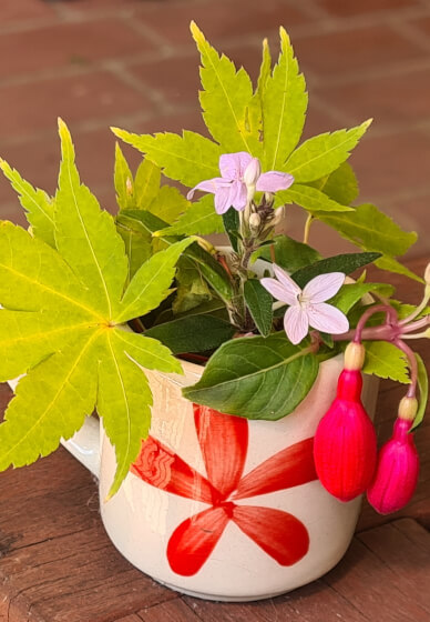 Flower Therapy and Forest Bathing Workshop