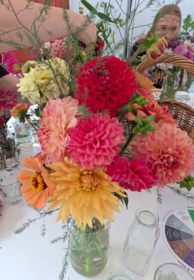 Flower Therapy Picking Experience