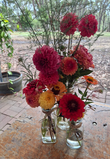 Flower Therapy Picking Experience