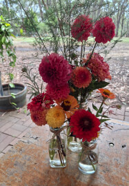 Flower Therapy Picking Experience