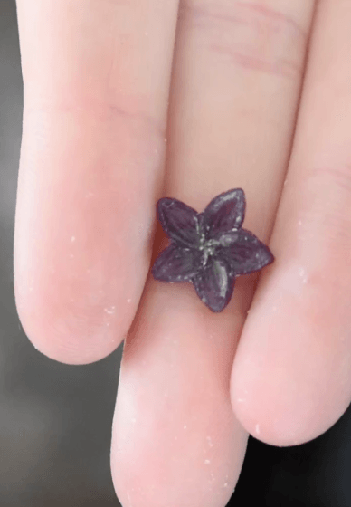 Flower Wax Carving Class