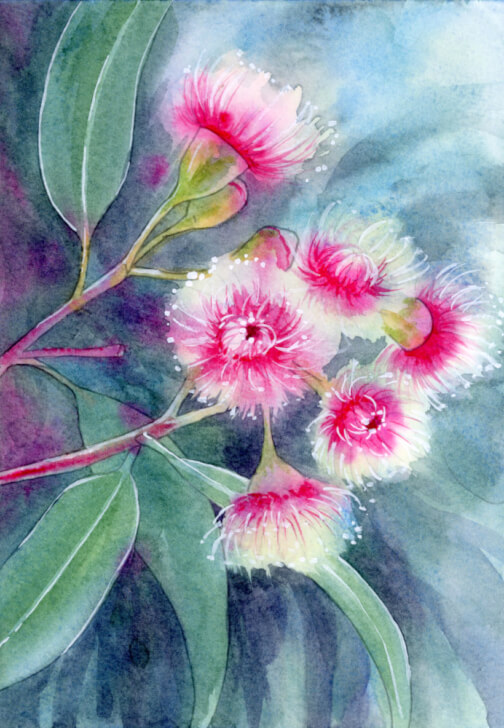 Flowering Gum Watercolour Workshop