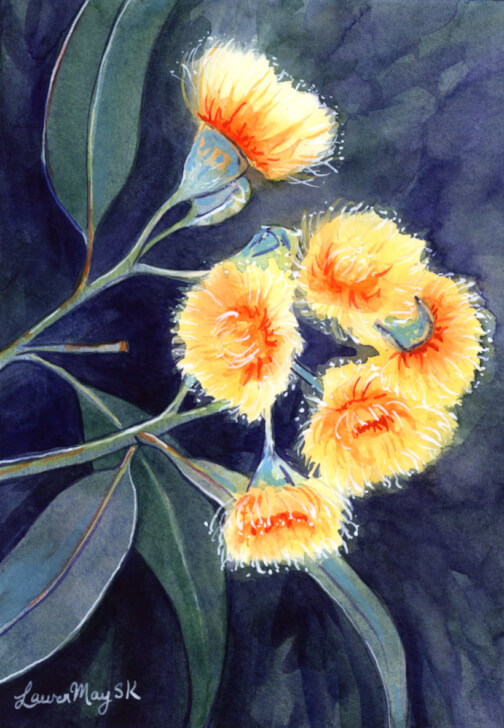 Flowering Gum Watercolour Workshop