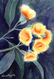 Flowering Gum Watercolour Workshop