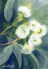 Flowering Gum Watercolour Workshop